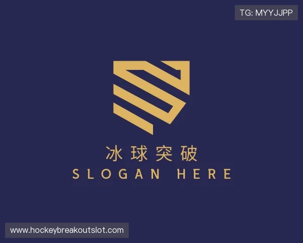 认识冰球突破子公司